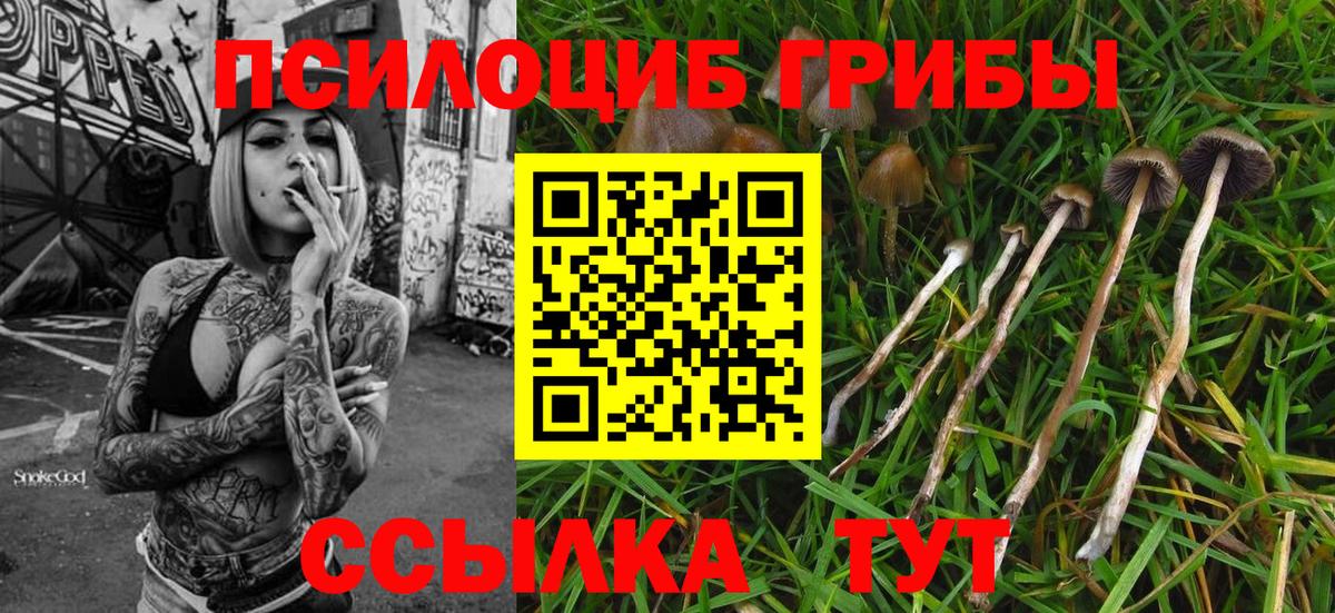Галлюциногенные грибы мицелий Мыски