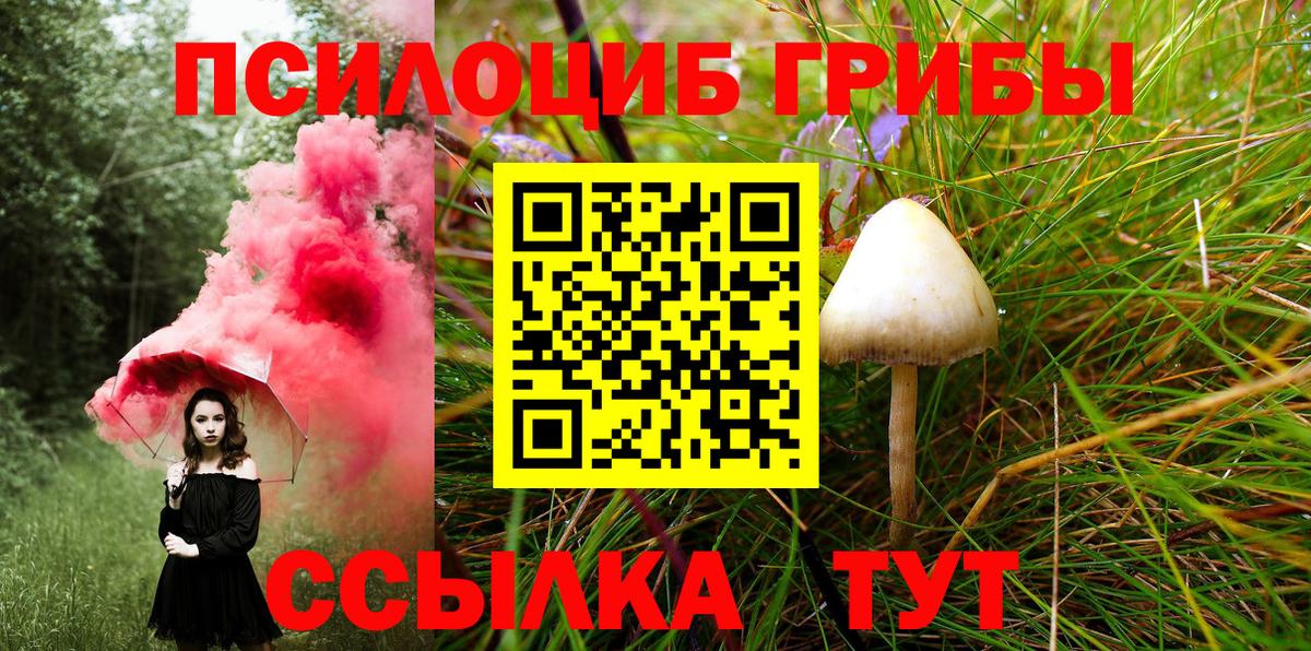Галлюциногенные грибы MAGIC MUSHROOMS  Вход с VPN  Псилоцибиновые грибы Magic Shrooms  Мыски 